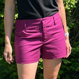 - Daisy Fuentes Fuchsia Classic 4 Inch City Shorts SZ 10! NEW!